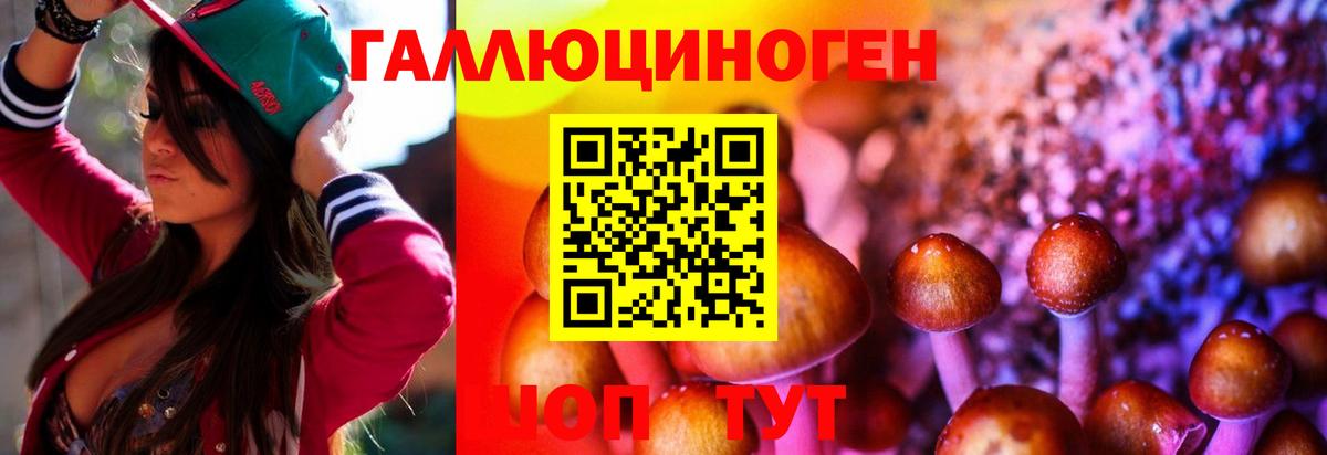 Рубцовск  где можно купить   Вход с VPN  Псилоцибиновые грибы GOLDEN TEACHER 